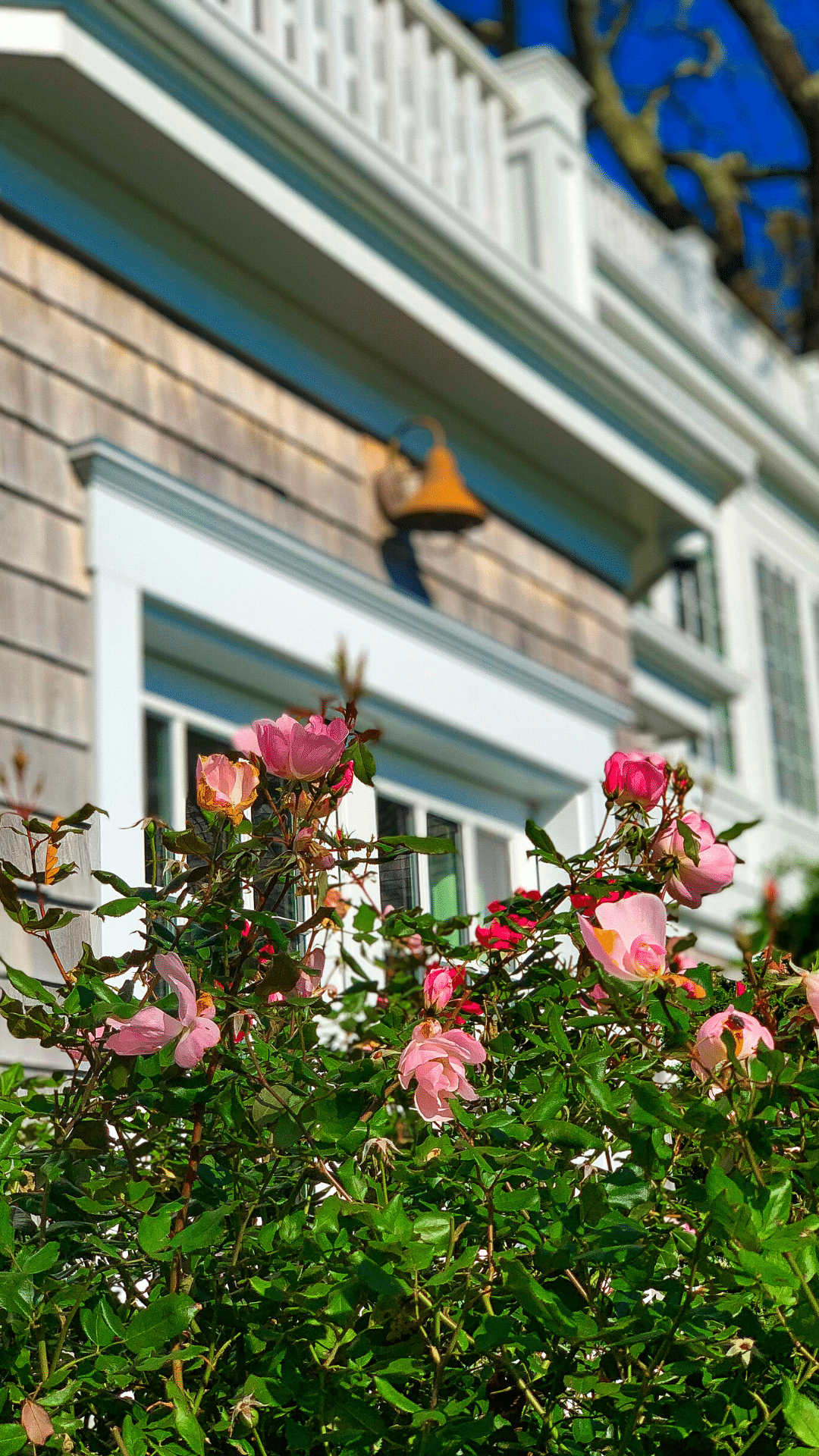 Patrick Ahearn Architect Marthas Vineyard Edgartown