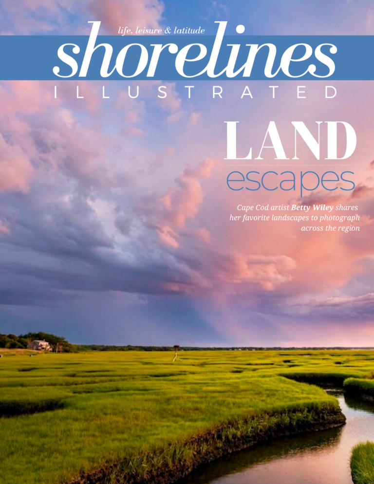 Cape Cod Land Escapes by Betty Wiley - Shorelines Illustrated