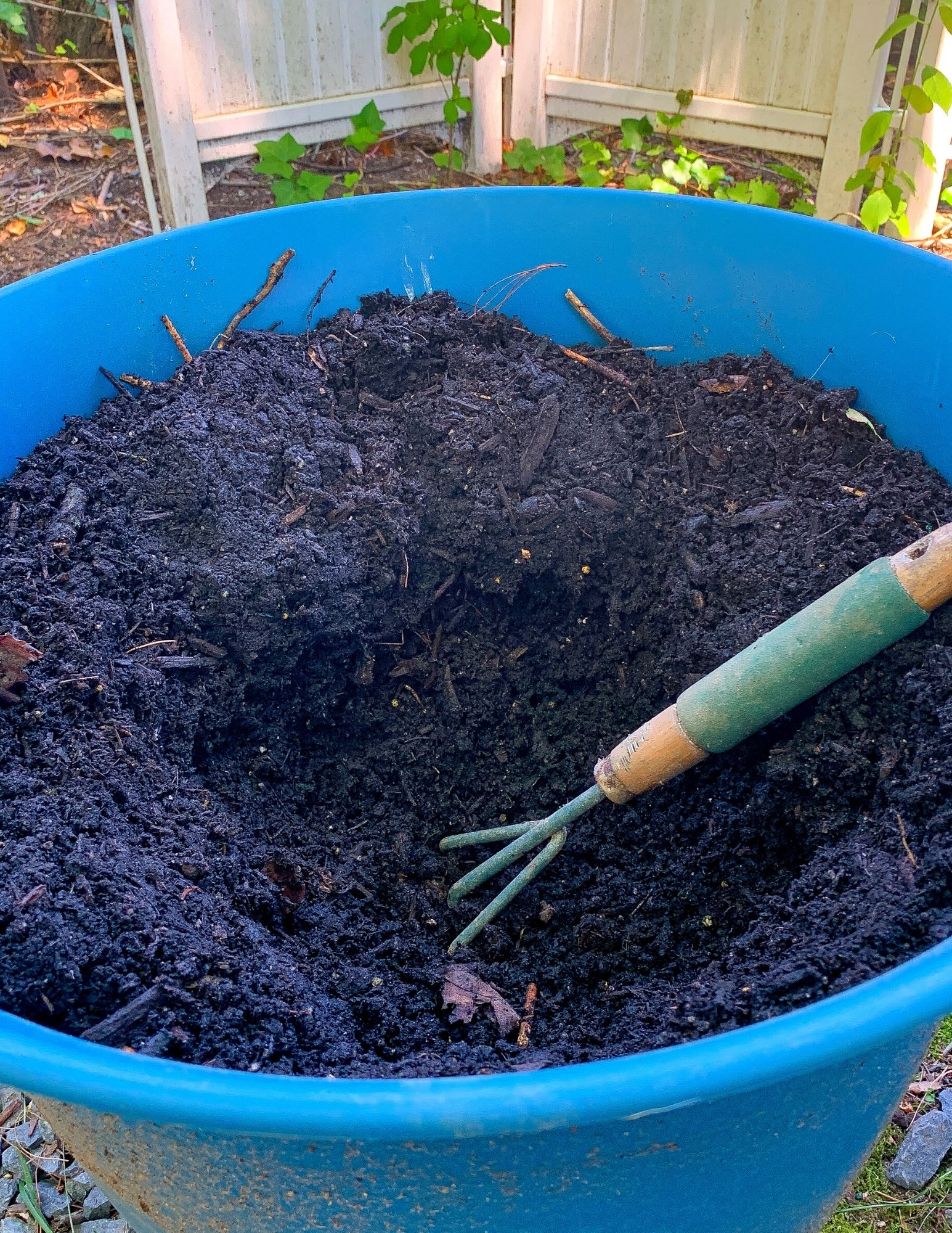 How to Plant Hydrangeas in Pots-4