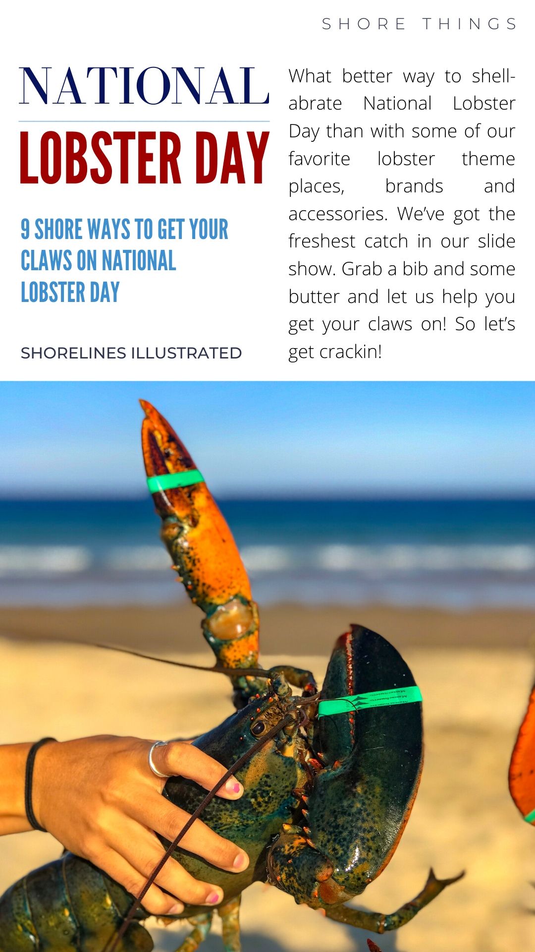 LOBSTER DAY PINS-2
