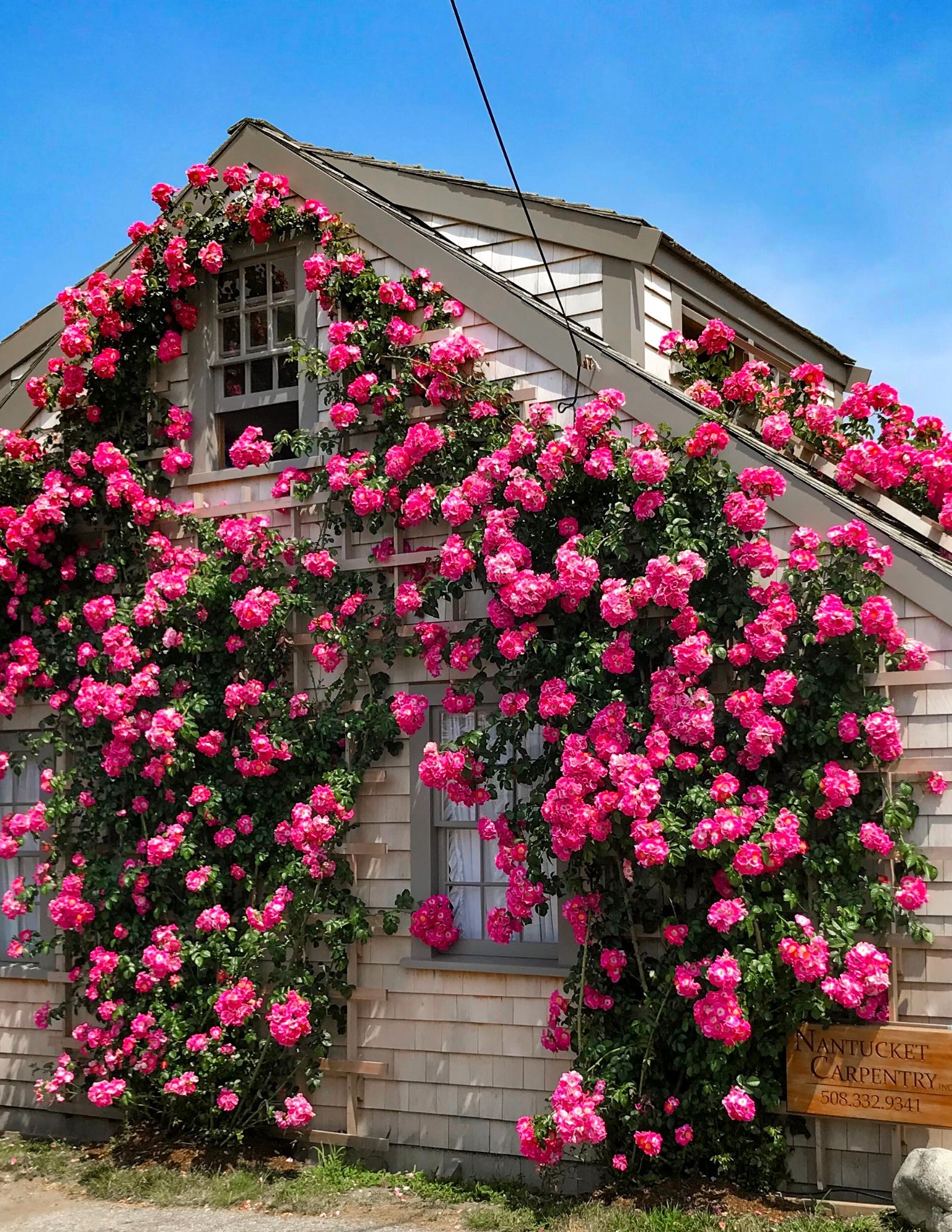 Nantucket Rose Covered Cottages in Sconset-12