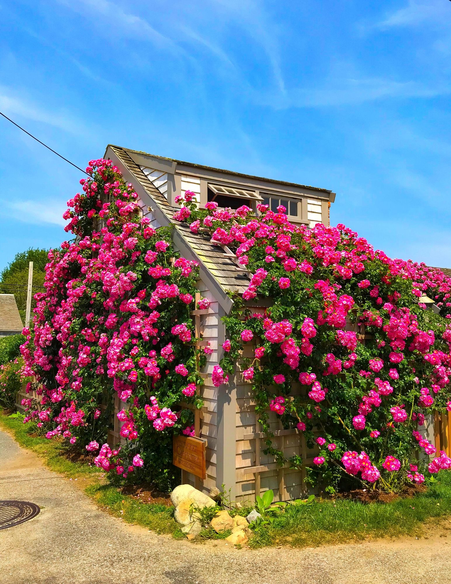 Nantucket Rose Covered Cottages in Sconset-13