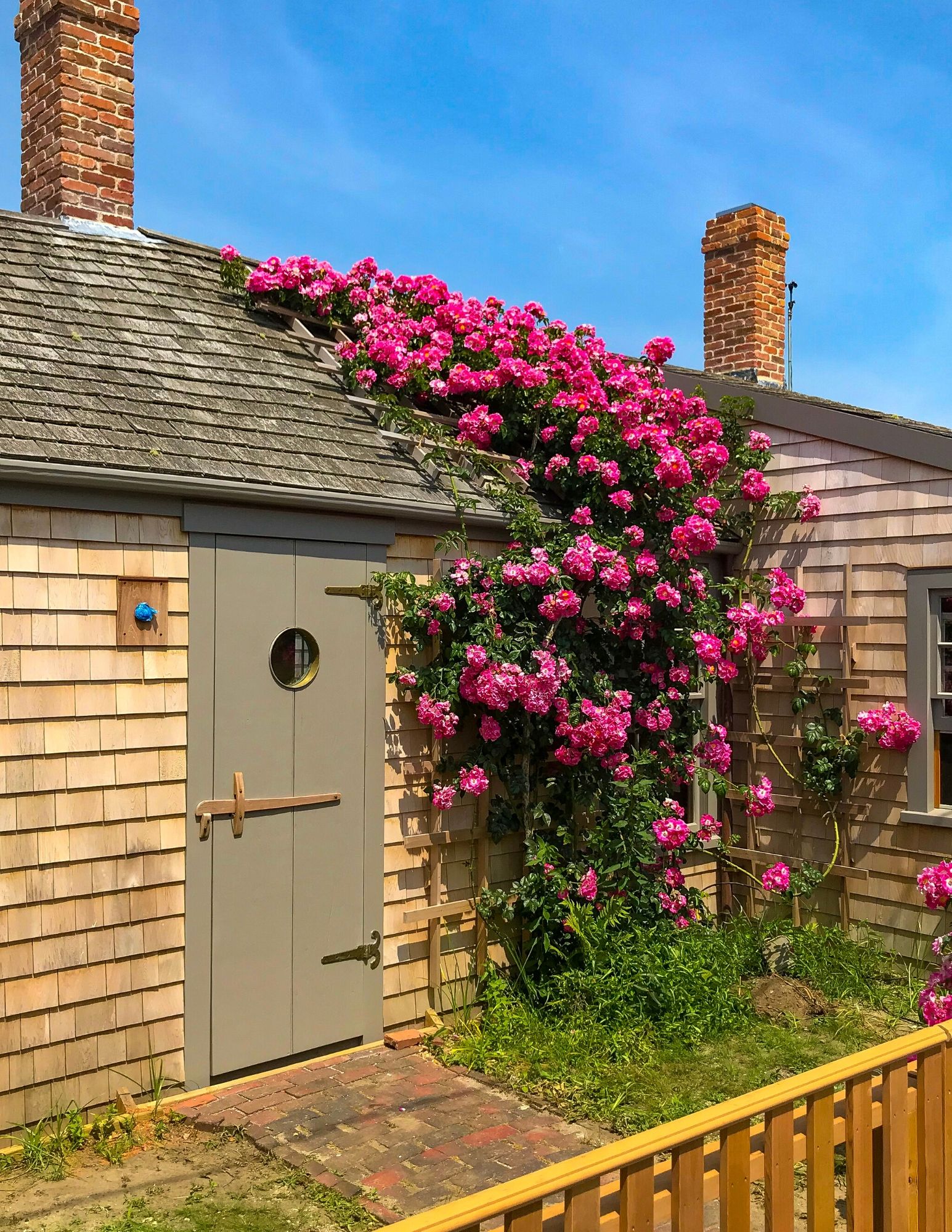Nantucket Rose Covered Cottages in Sconset-17
