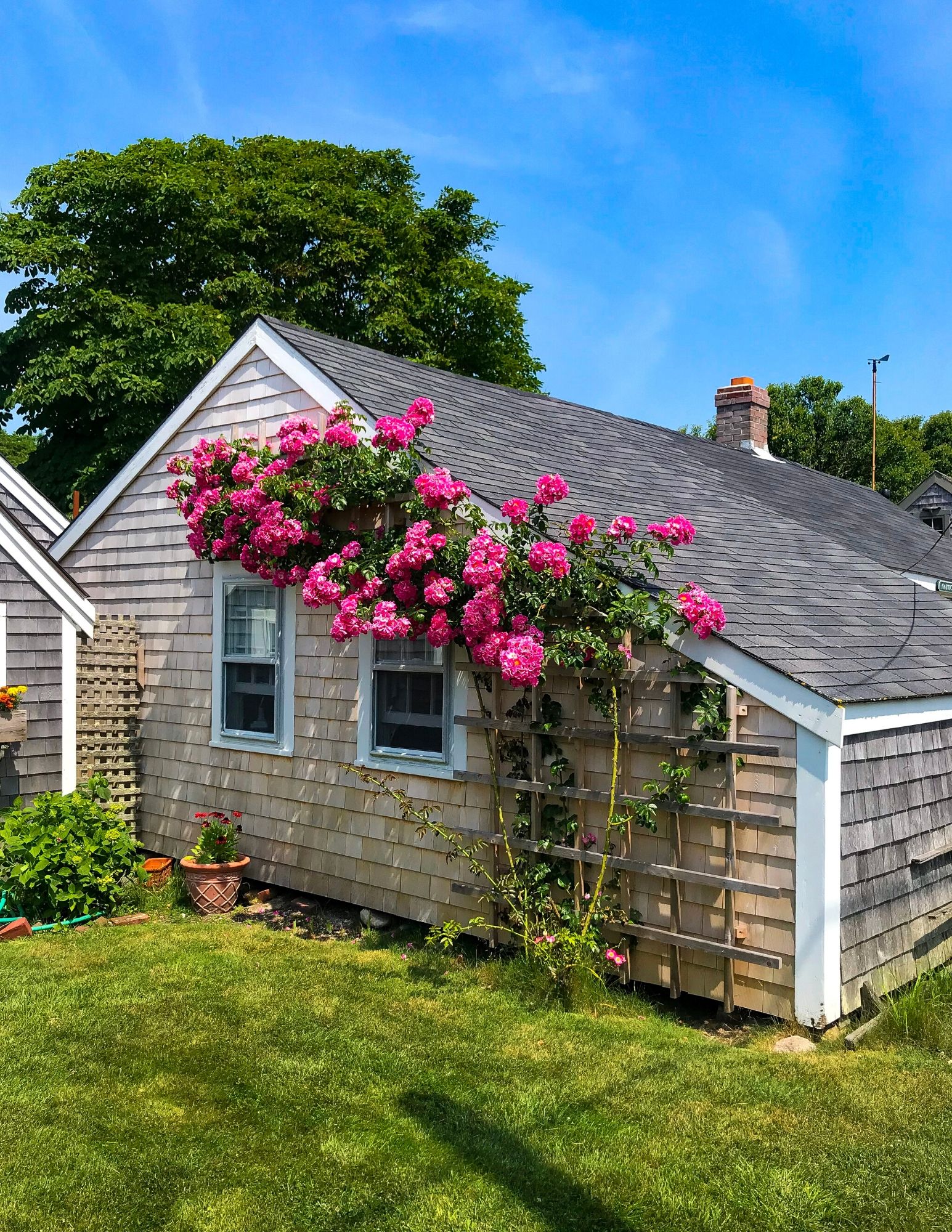Nantucket Rose Covered Cottages in Sconset-18