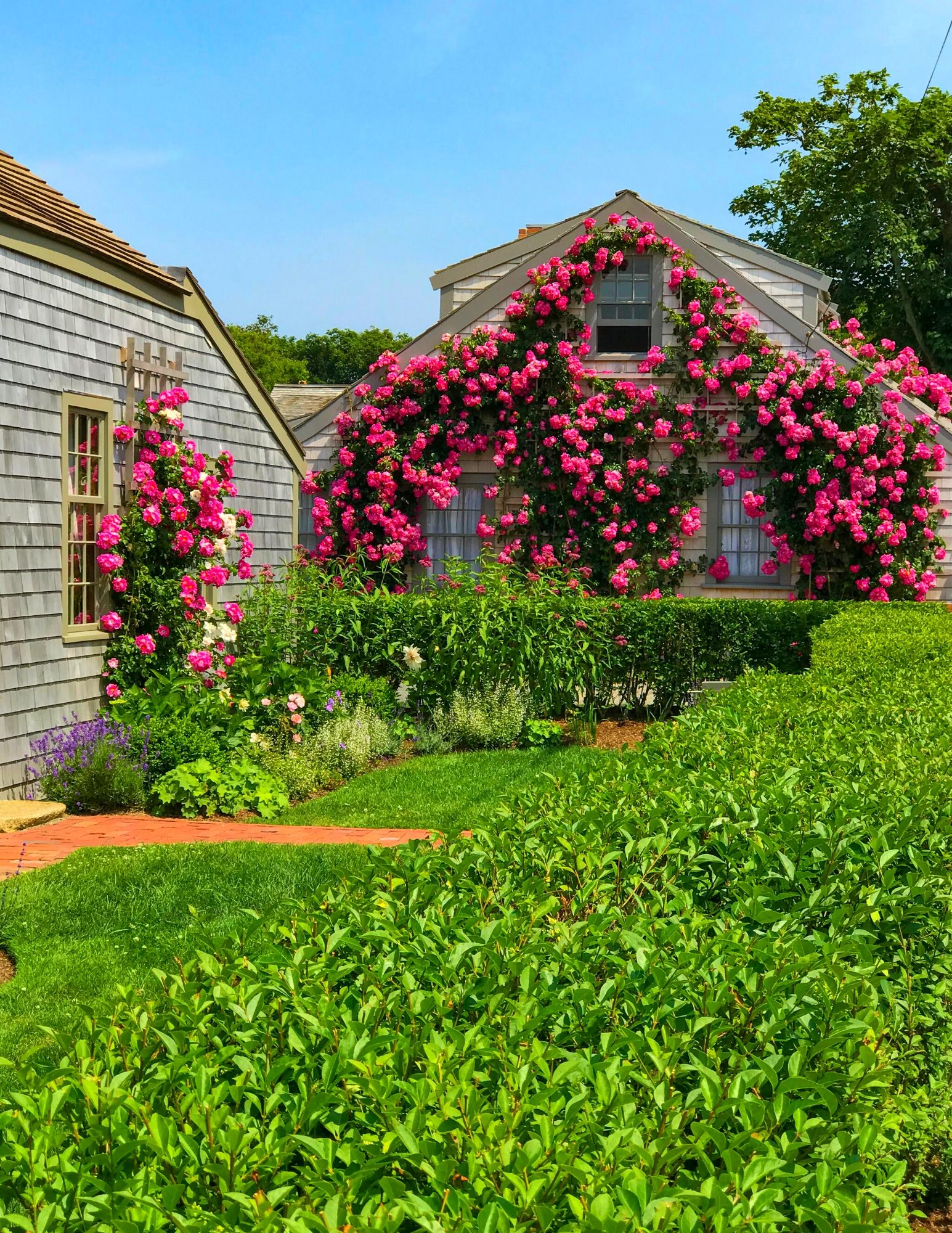 Nantucket Rose Covered Cottages in Sconset-19