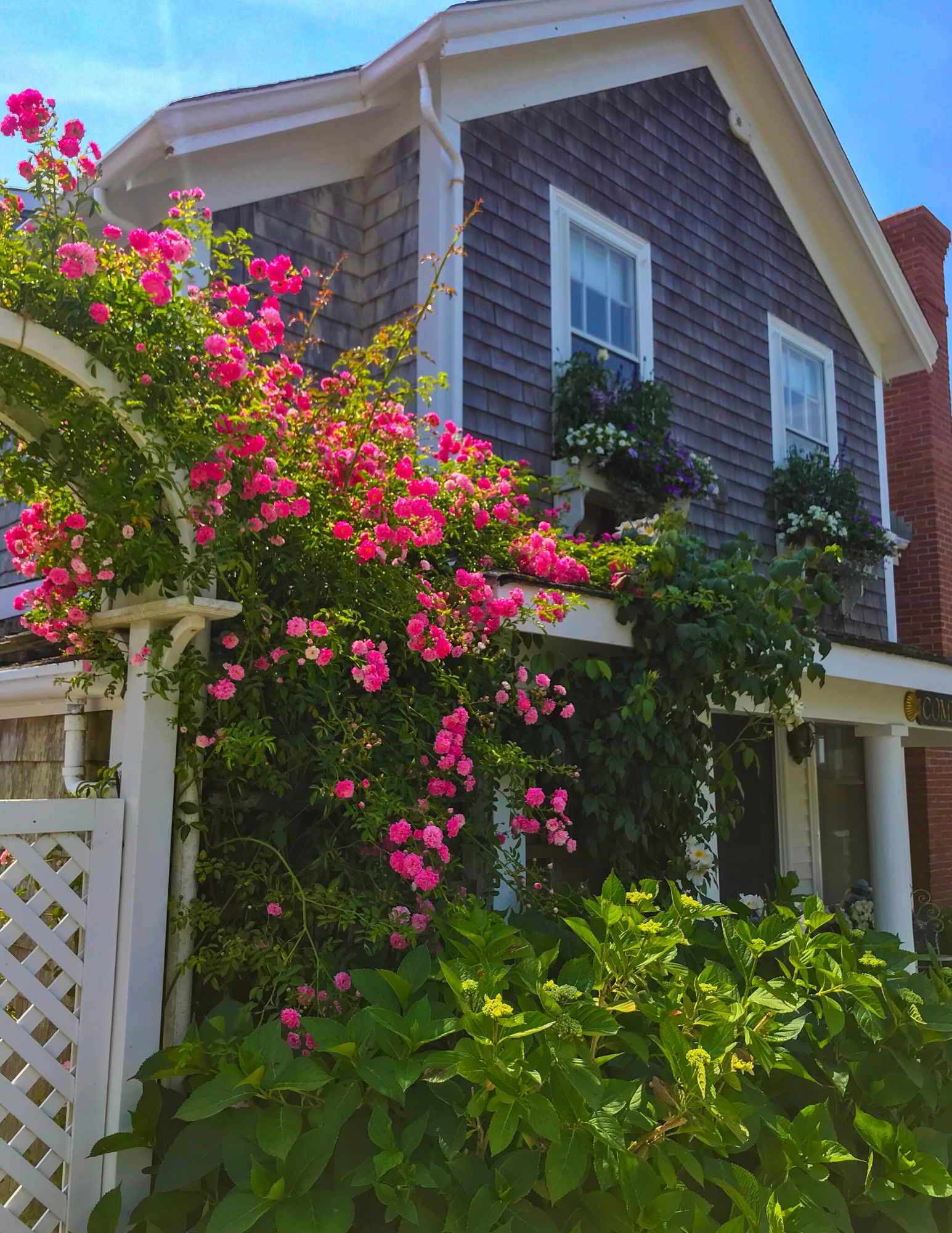 Nantucket Rose Covered Cottages in Sconset-20