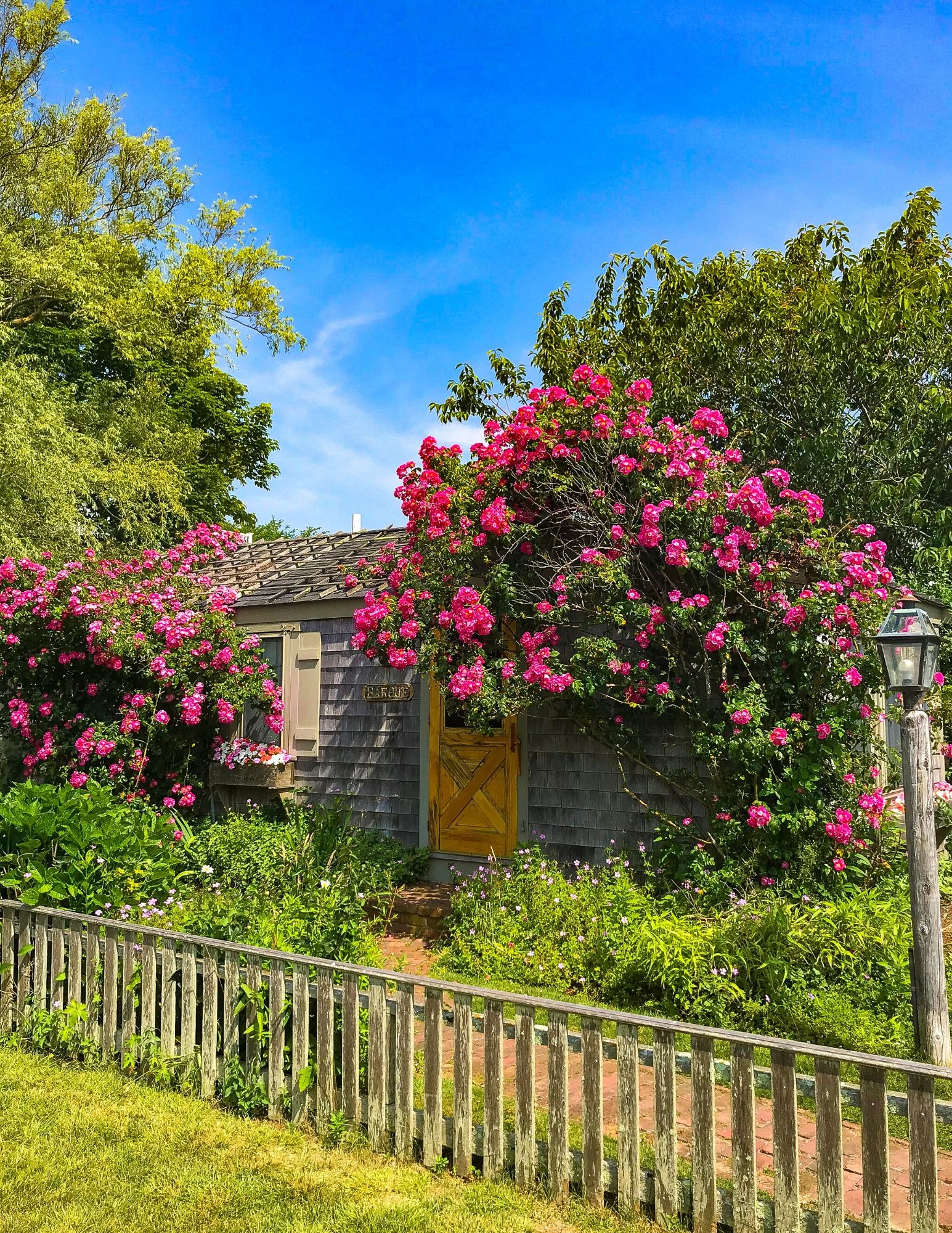 Nantucket Rose Covered Cottages in Sconset-23