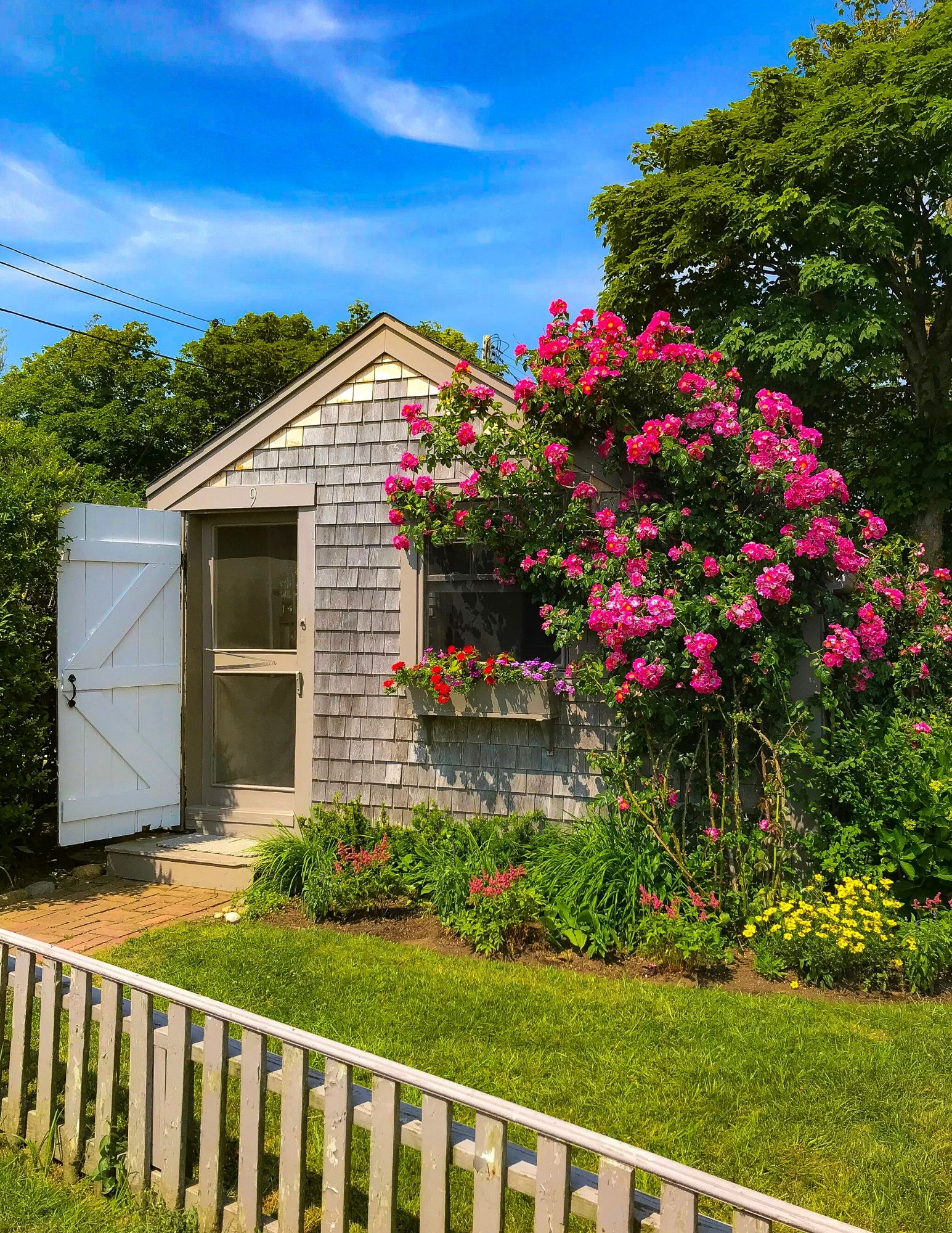 Nantucket Rose Covered Cottages in Sconset-3