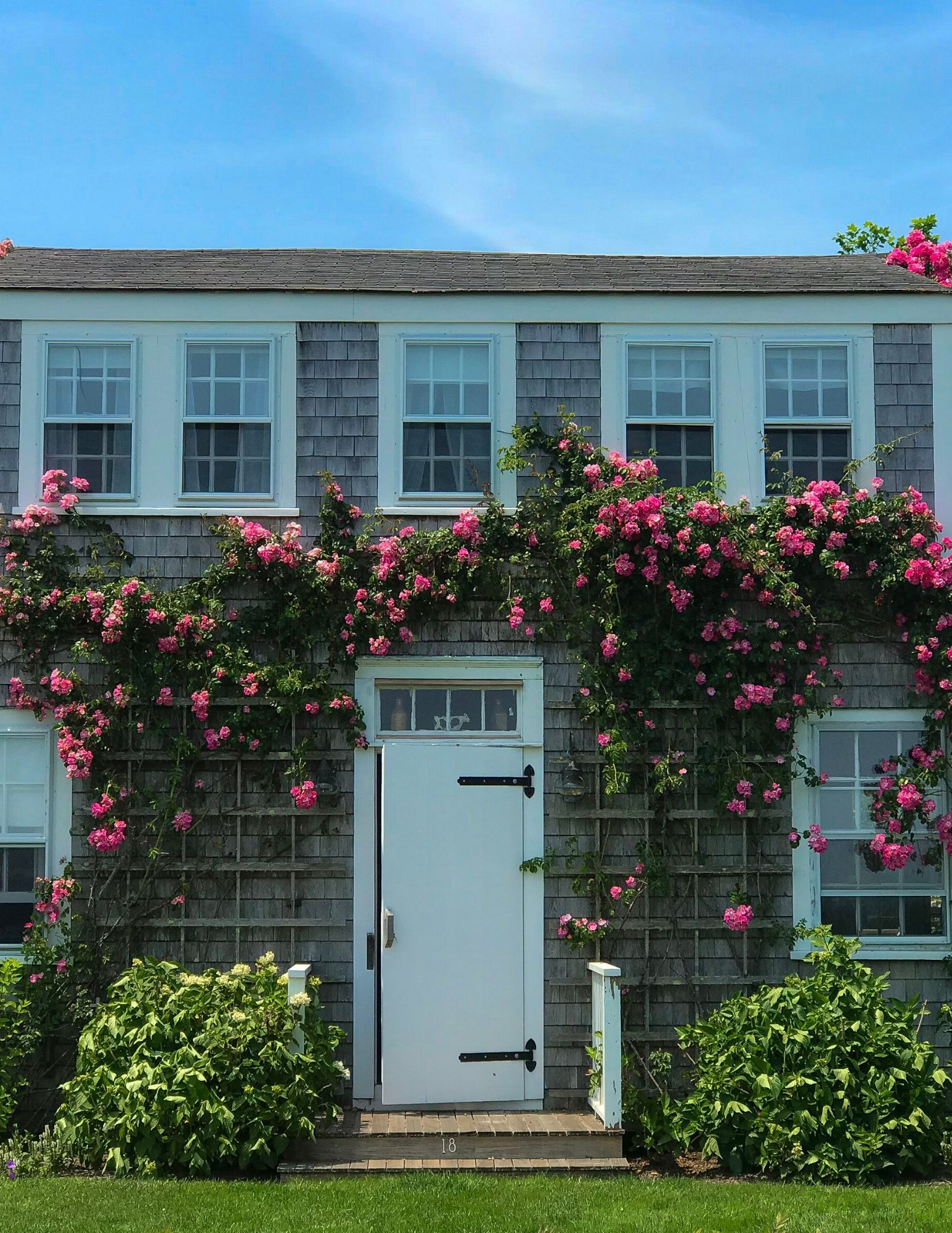 Nantucket Rose Covered Cottages in Sconset-5