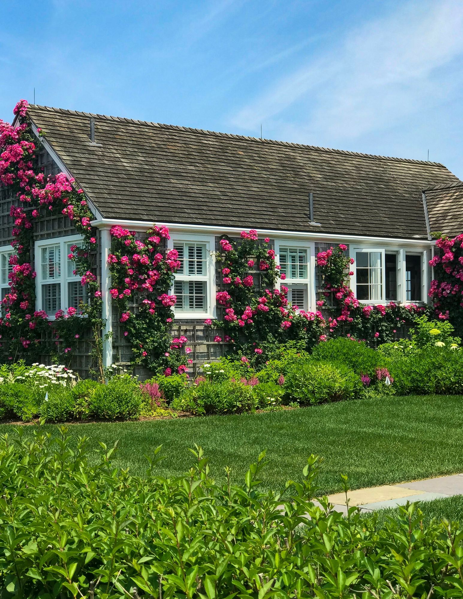 Nantucket Rose Covered Cottages in Sconset-8