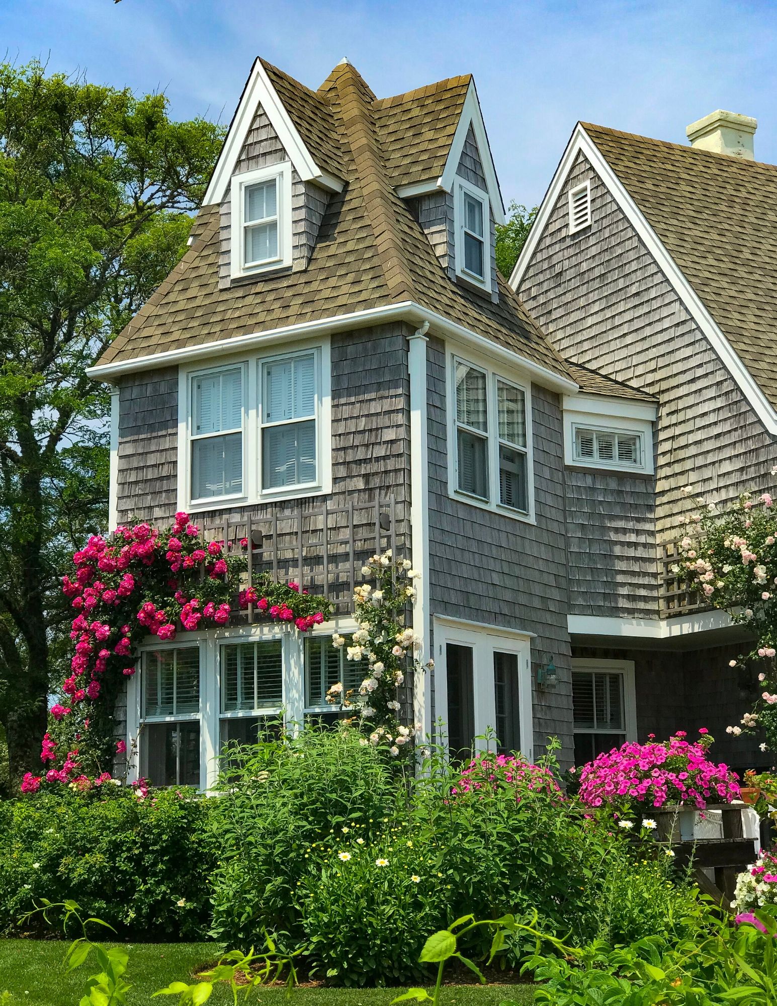 Nantucket Rose Covered Cottages in Sconset-9