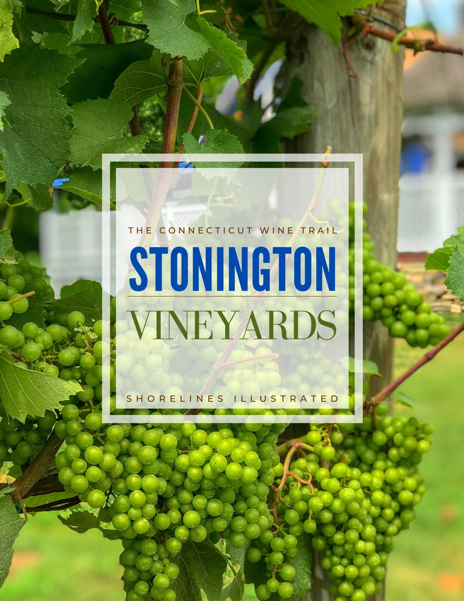 Stonington Vineyards CT Wine Trail-1