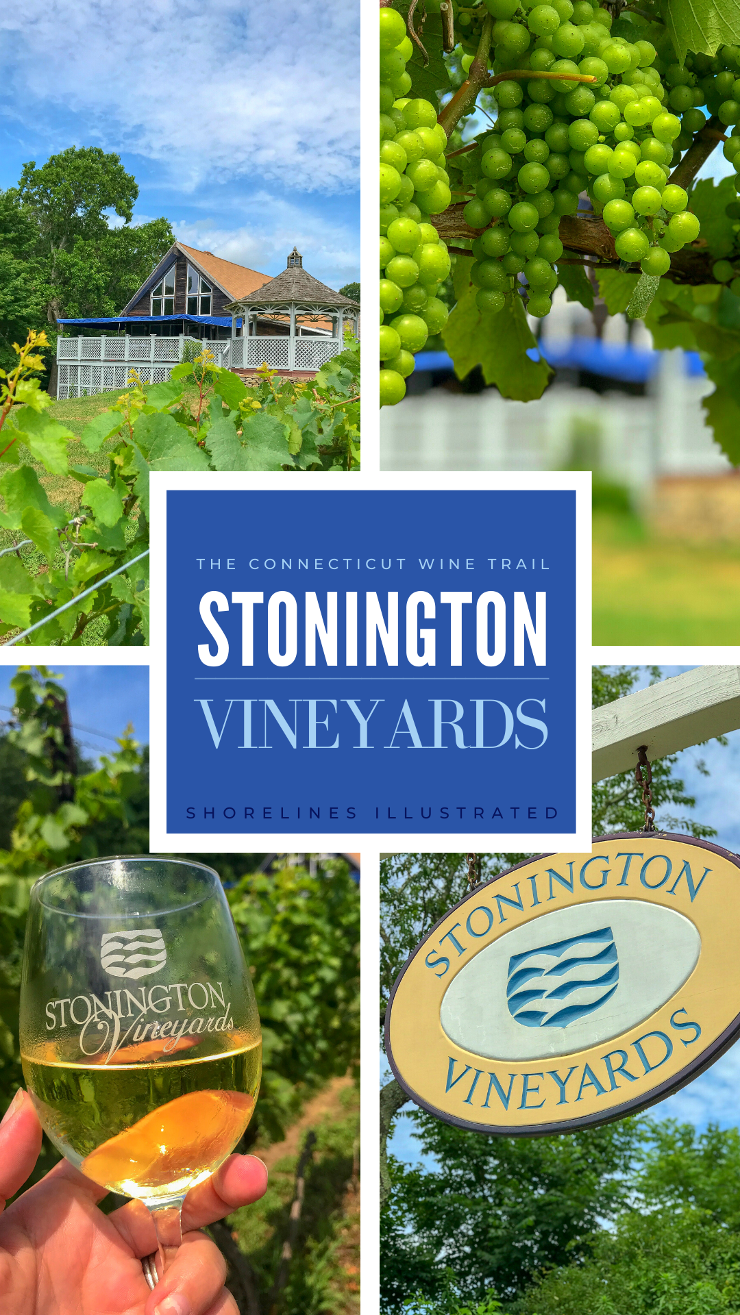 Stonington Vineyards Wine Tasting-3