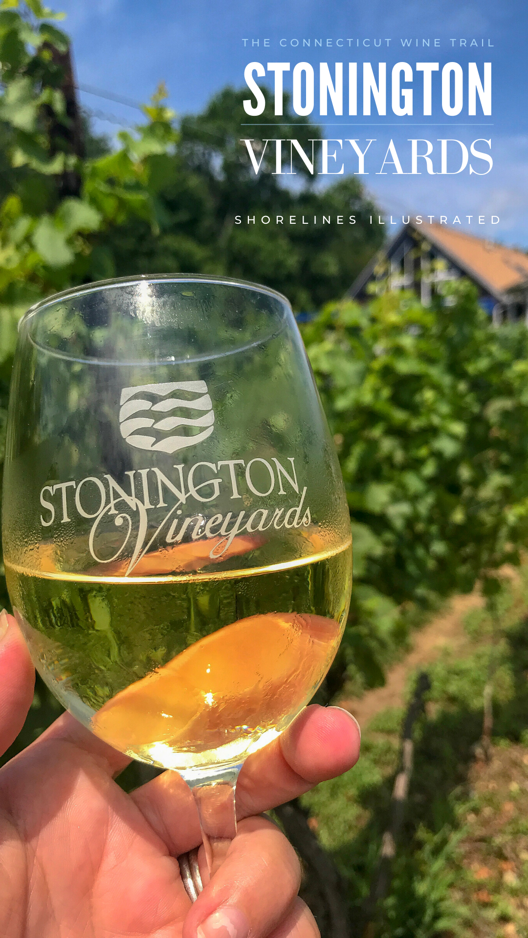 Stonington Vineyards Wine Tasting-5