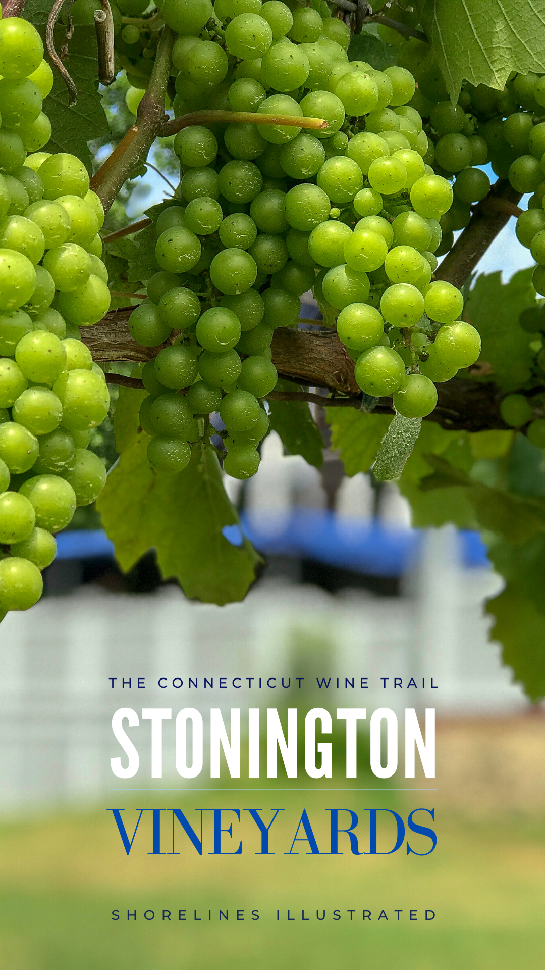 Stonington Vineyards Wine Tasting-6