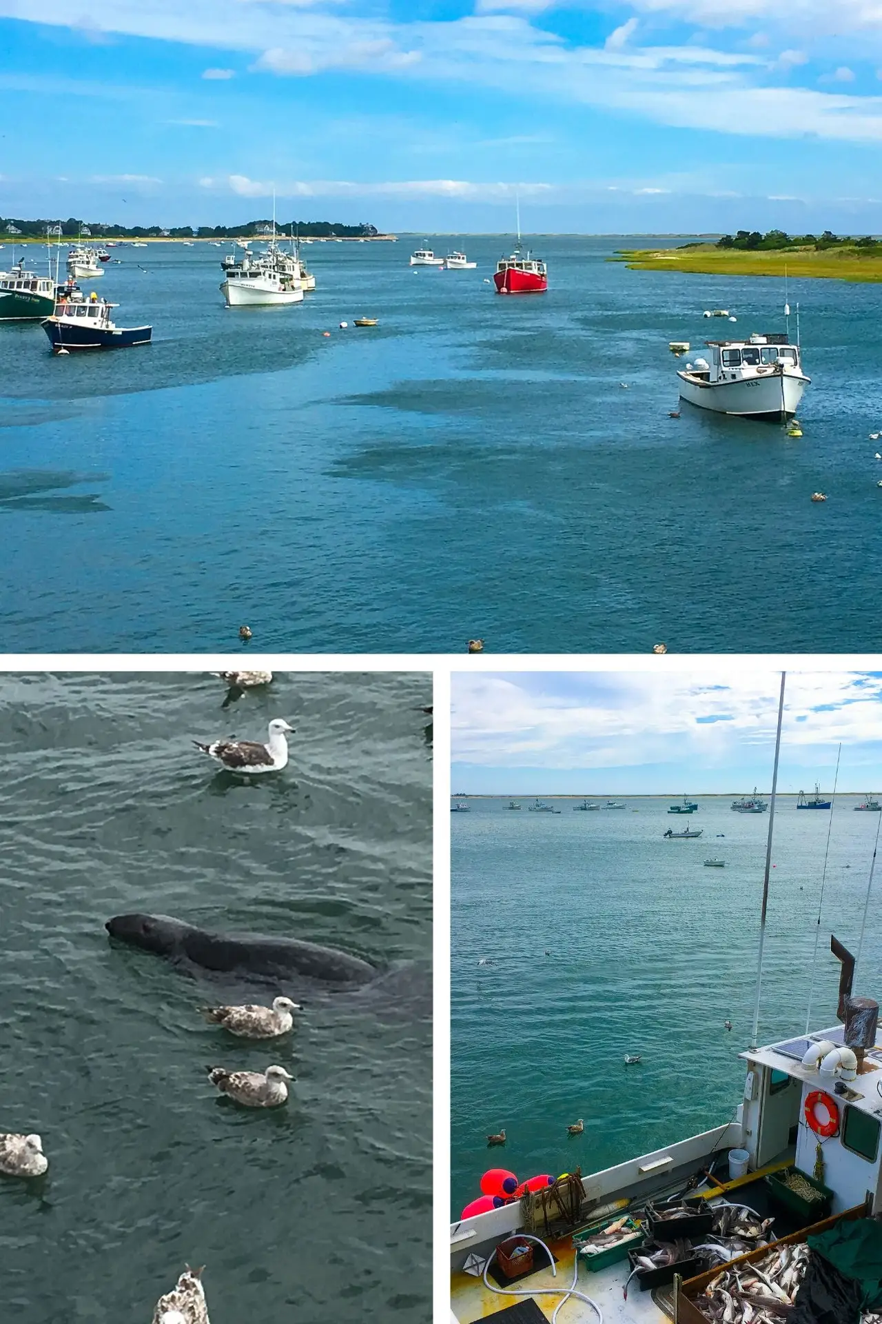 Enjoy a perfect day trip to Chatham in Cape Cod