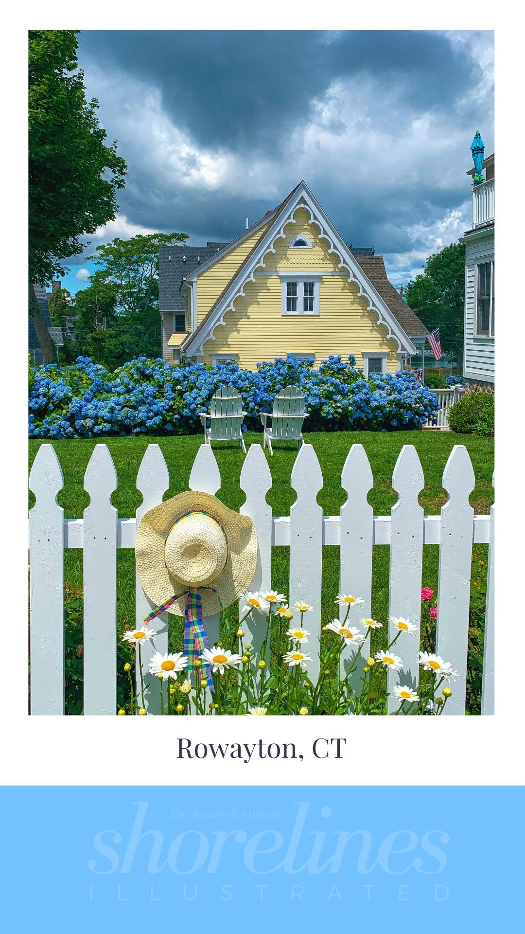 Blue Hydrangeas of New England-10