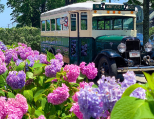 The Nantucket Hotel and Resort