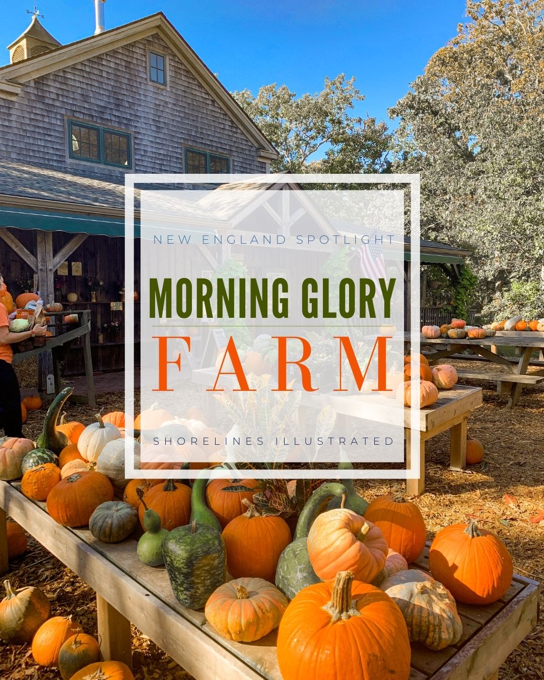 Morning Glory Farm Marthas Vineyard-1
