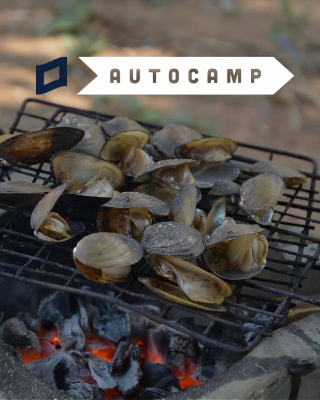 Experience Coastal Glamping at AutoCamp Cape Cod