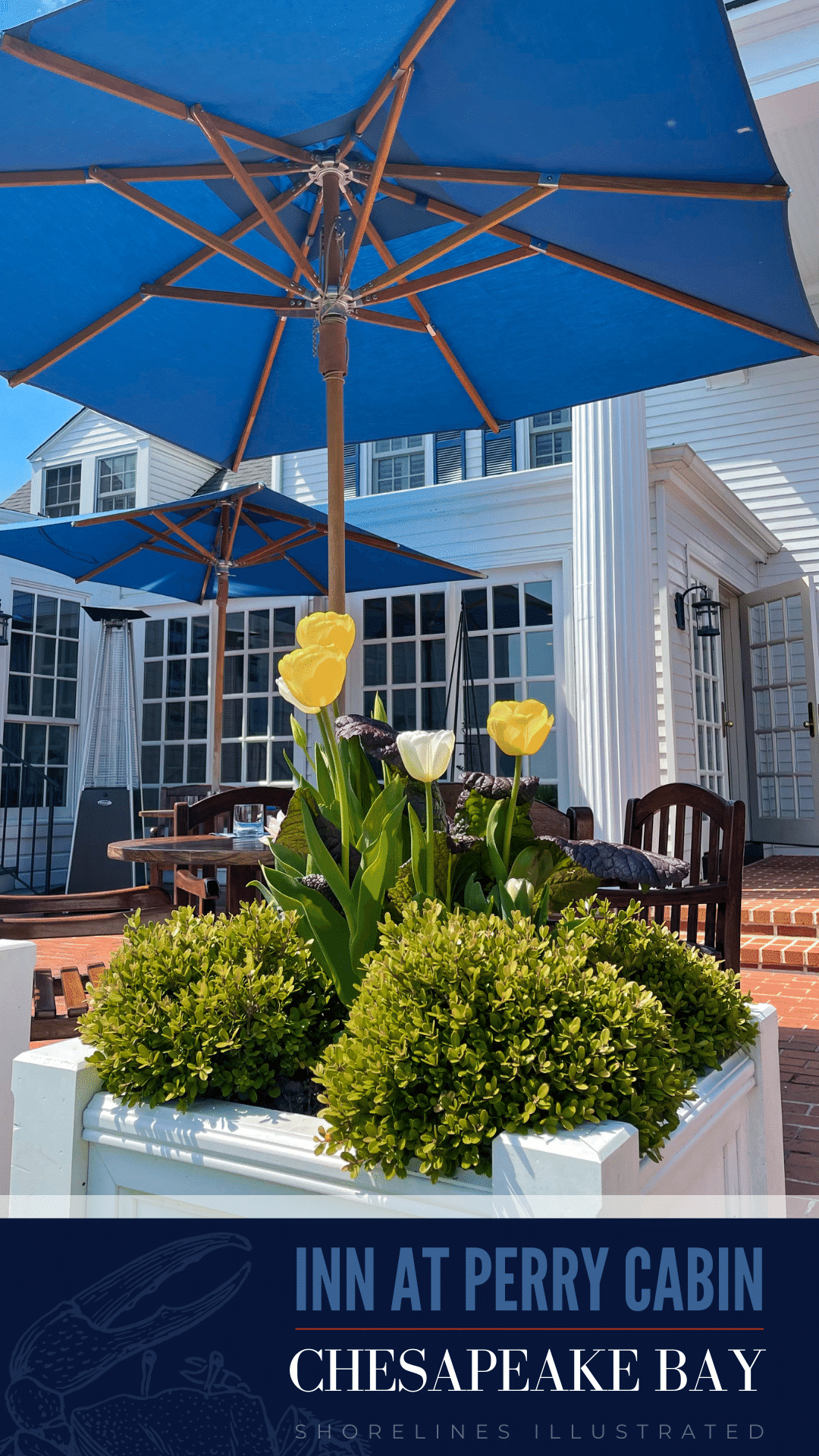 Sailing the Chesapeake Bay at the Inn at Perry Cabin in St Michaels, Maryland