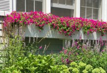 What’s the Difference Between Contingent and Pending?