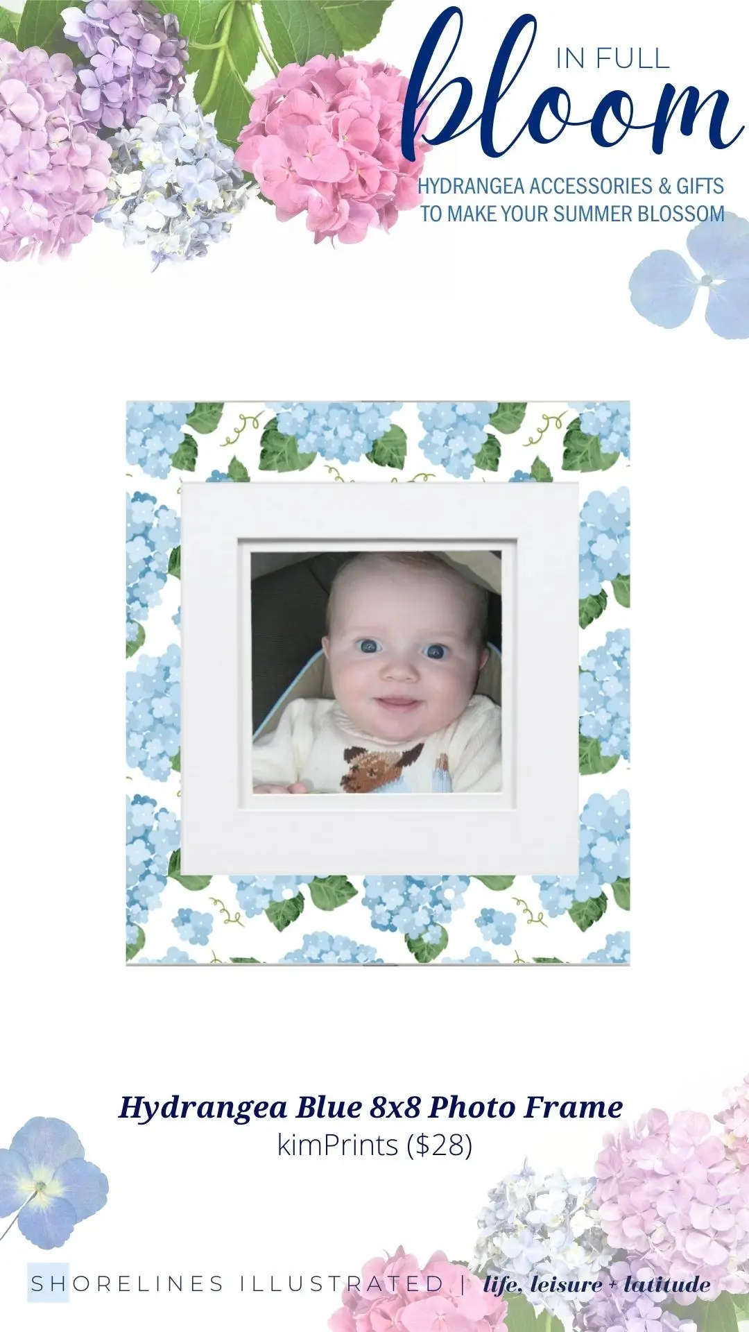 kimPrints Hydrangea Blue Frame