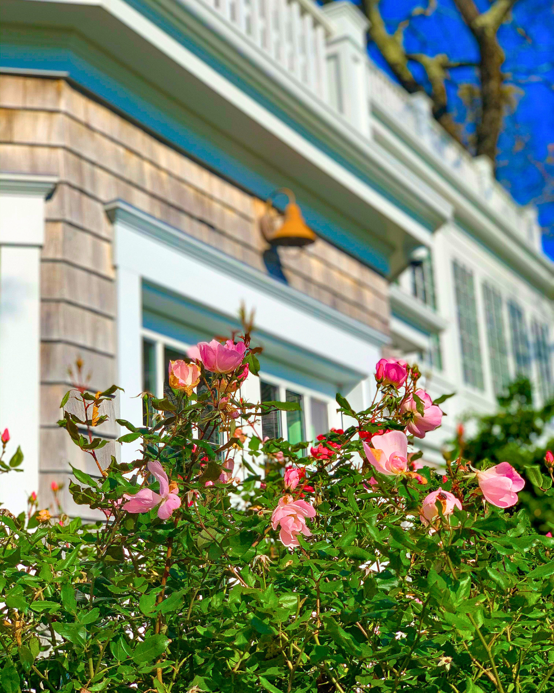 NECC-COASTAL-HOME-2.png