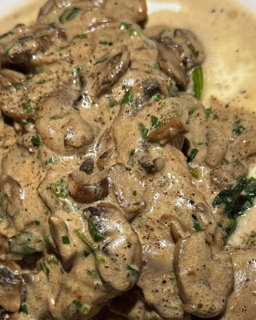 Veal scallopini special with mushrooms in cream sauce
